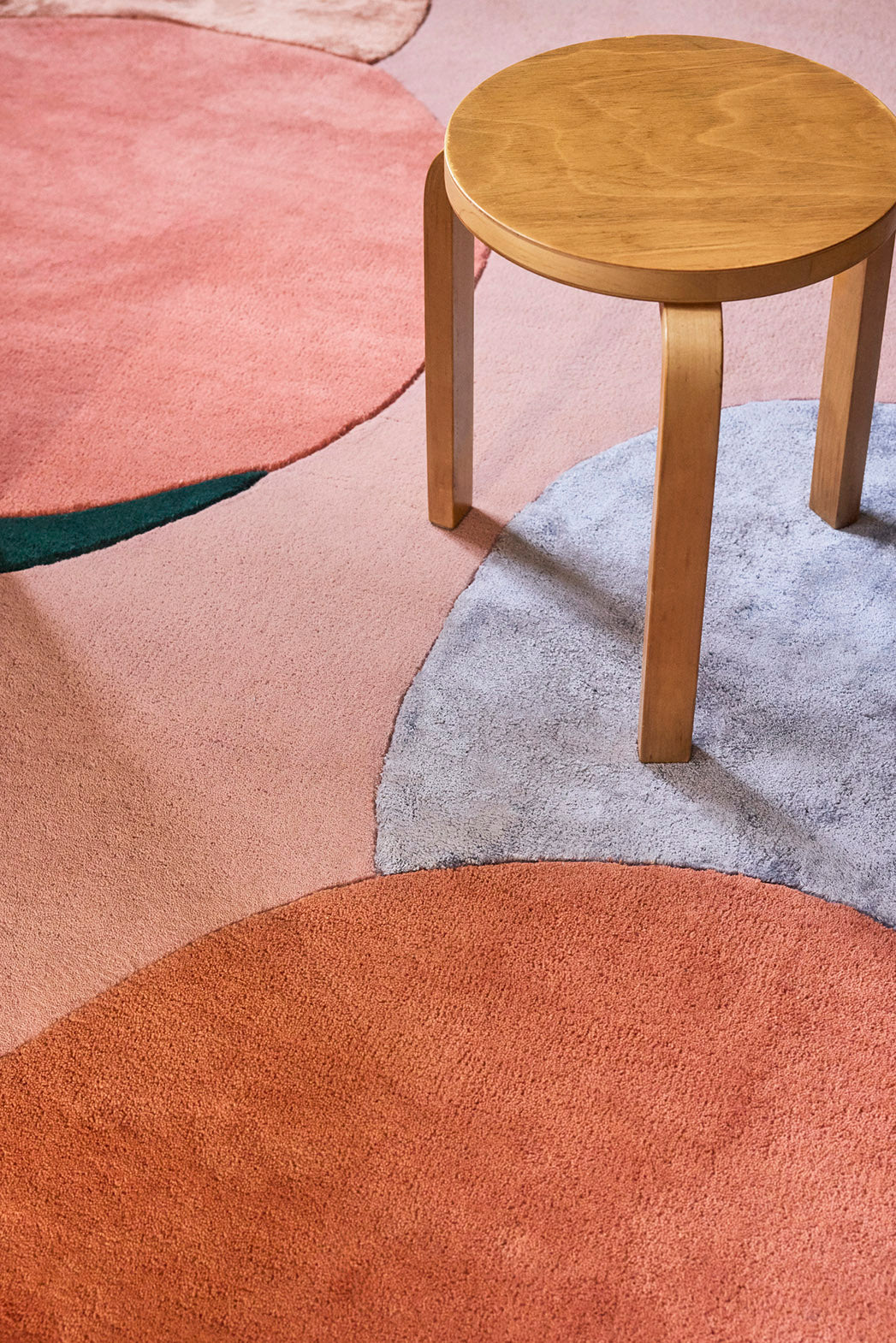 Poppy Kalas Flower Field Sample