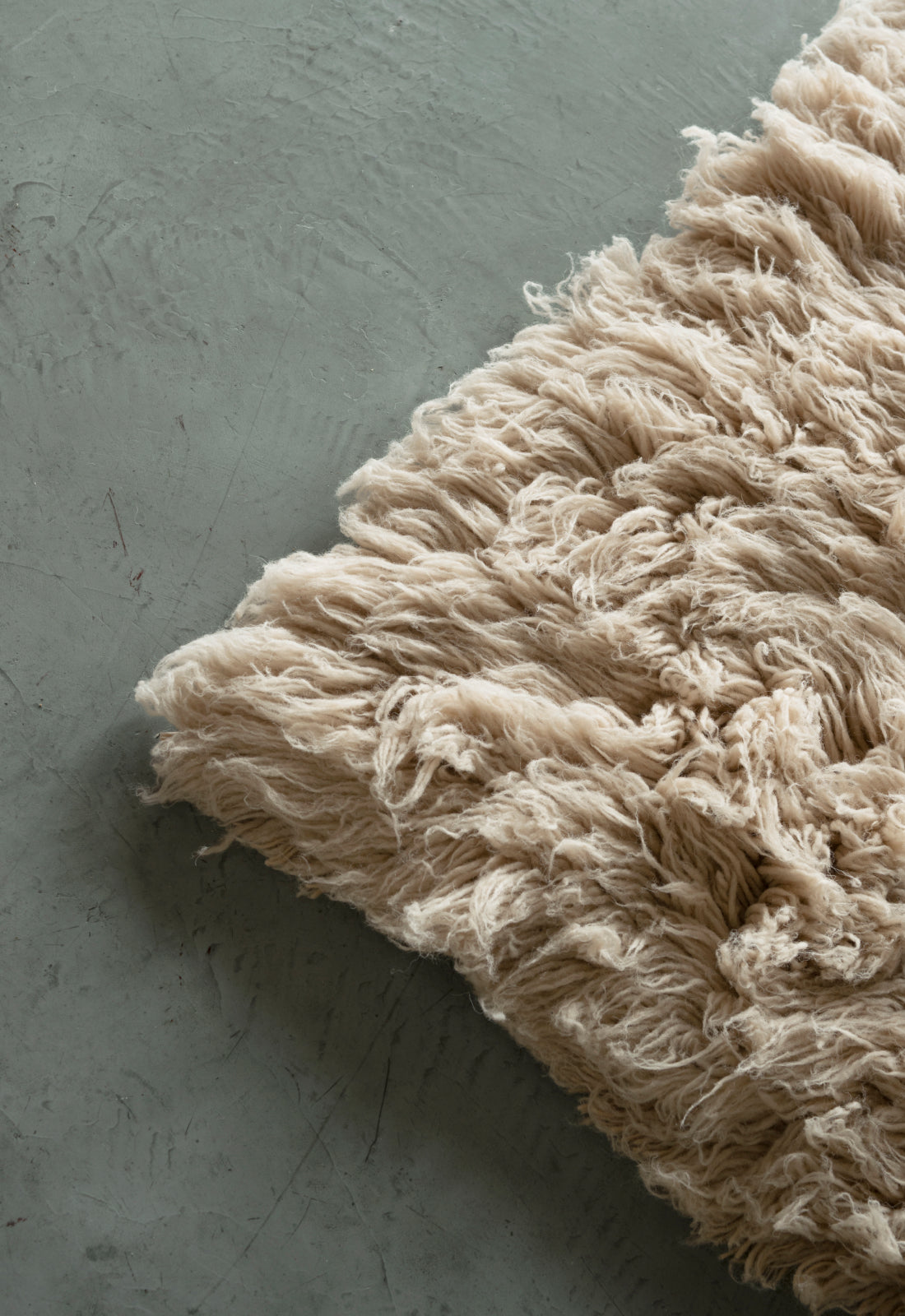 Shaggy Oatmeal Sample