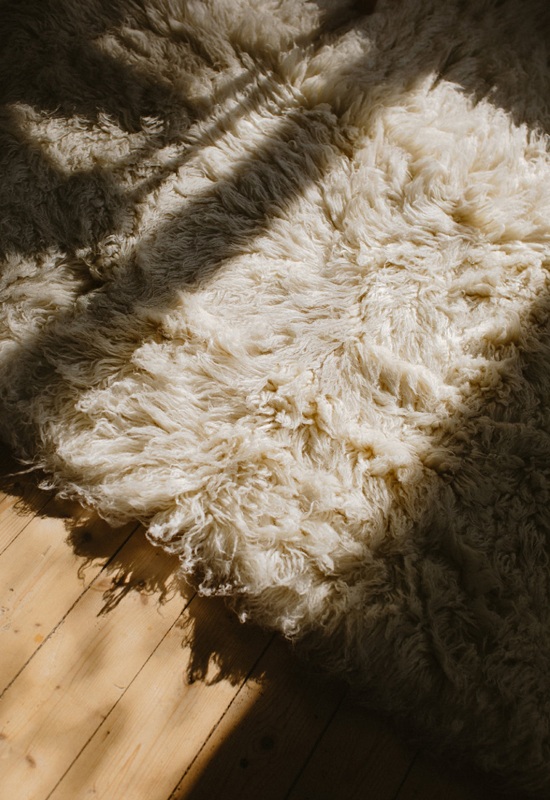 Shaggy Bone White Sample